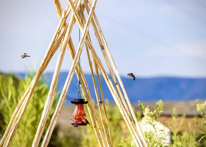 Amazing Unique Barrel Pod With Incredible Views For An Unforgettable Romantic Getaway Near Montezuma, Arizona Holiday home *